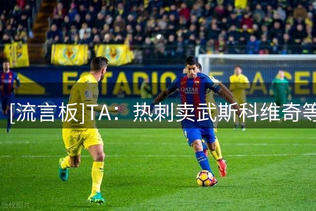[流言板]TA：热刺卖武斯科维奇等青训回笼近1亿资金，此举相当有效果